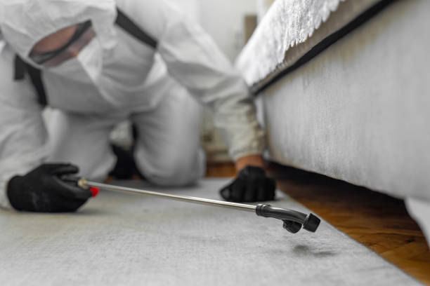 Professional Cockroach Control technician working in Manawa, WI