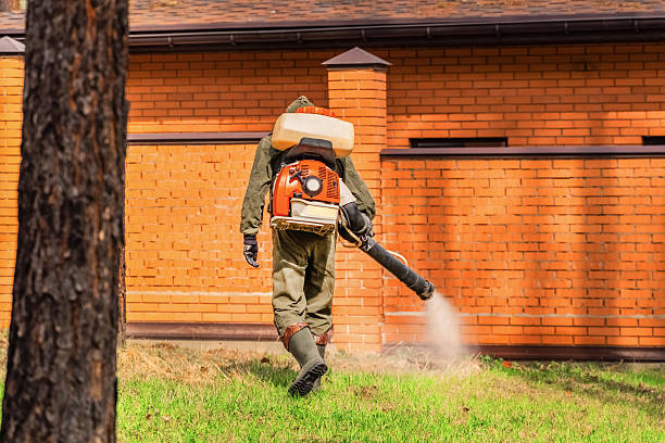 Trusted Rodent Control service in Manawa, WI - Nex Pest Control